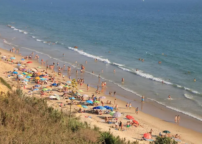 アパート Planta Alta